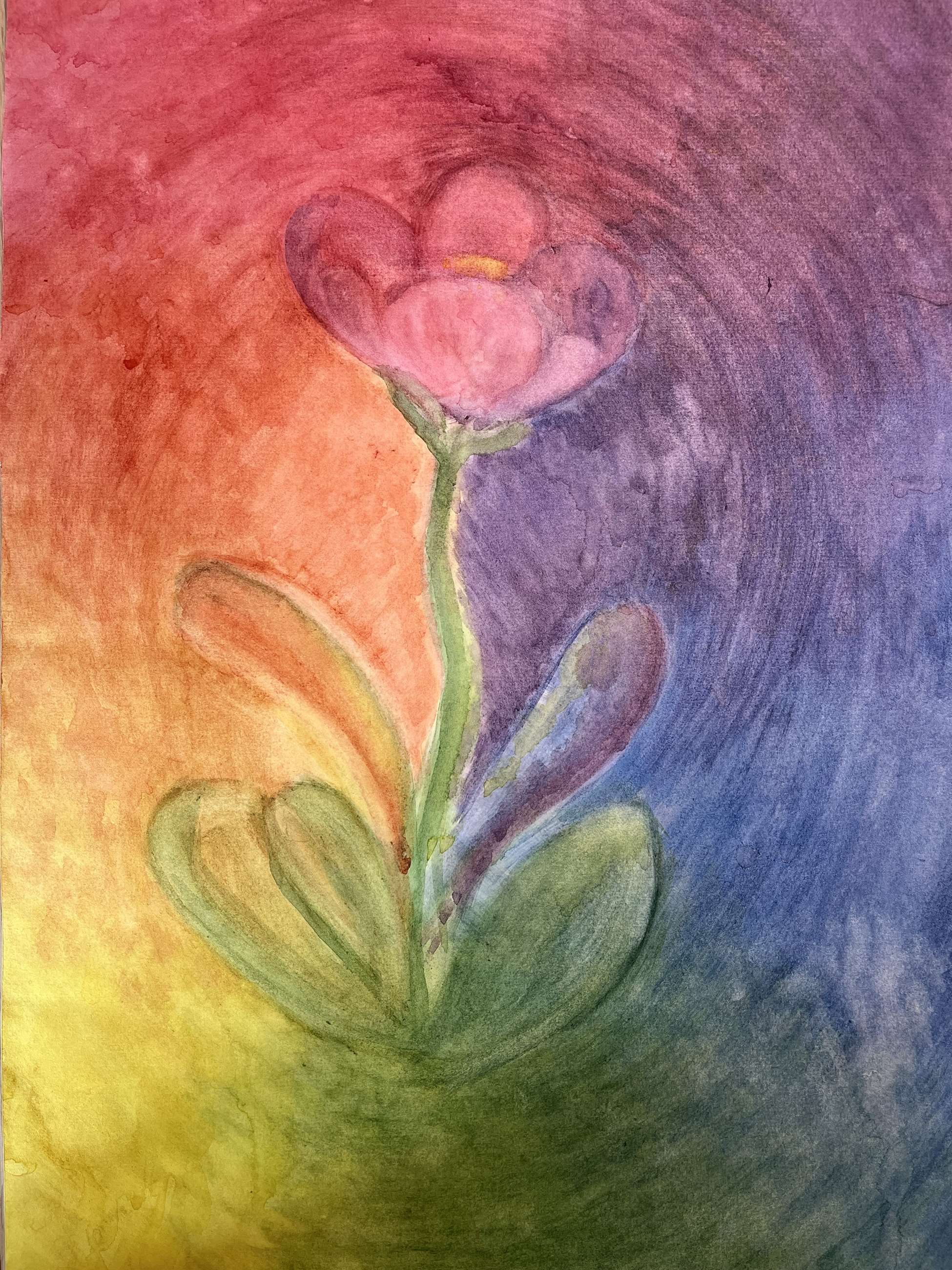 blomst billede